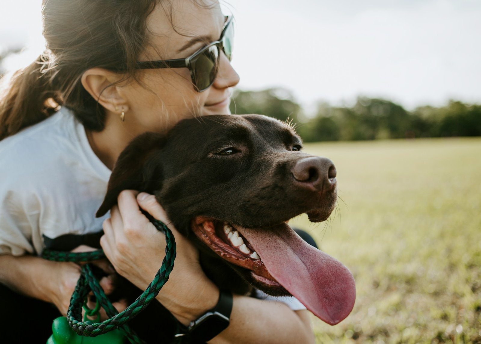 Chien accompagné lors d'une sortie — formation ACACED option chien